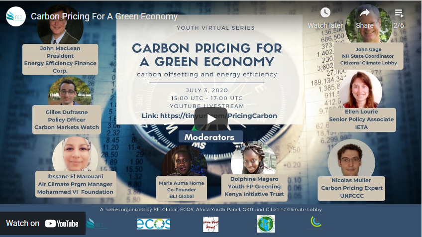Carbon pricing for a green economy