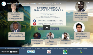 Linking Climate Finance to Article 6