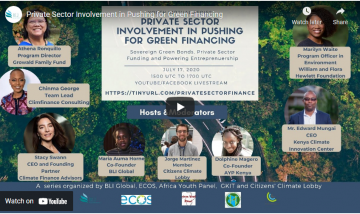 Private Sector Involvement in Pushing for Green Financing